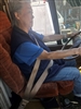 3 POINT SEAT BELT