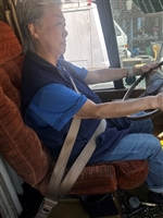 3 POINT SEAT BELT
