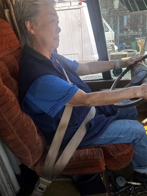 3 POINT SEAT BELT